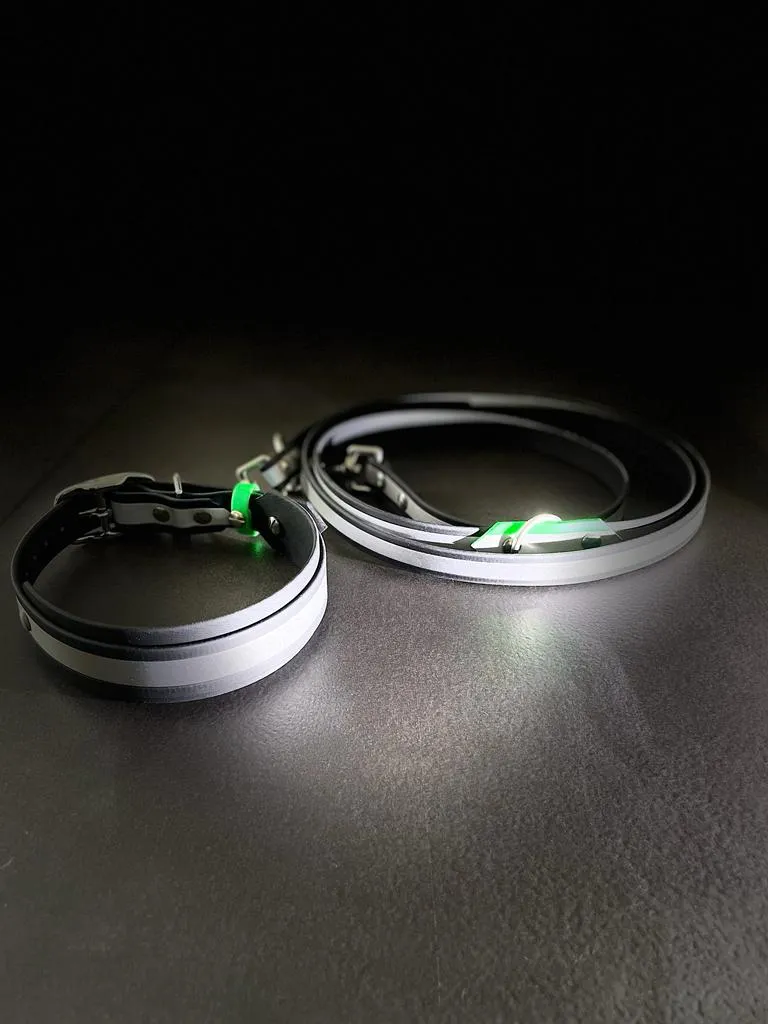 Reflektierendes BioThane® Hundehalsband Neon