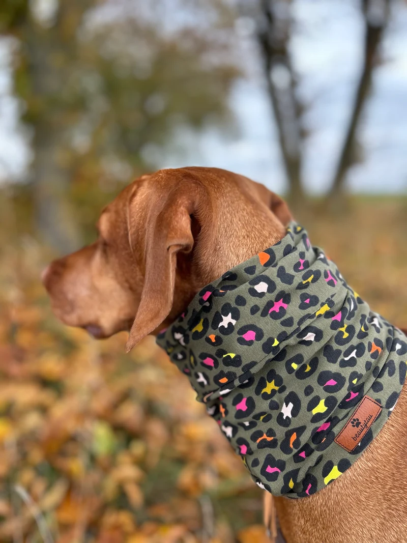 Hundeloop – individueller Loop für Hunde