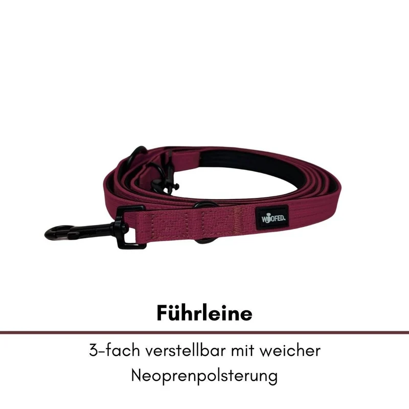 Nylon Classic Führleine Bordeaux
