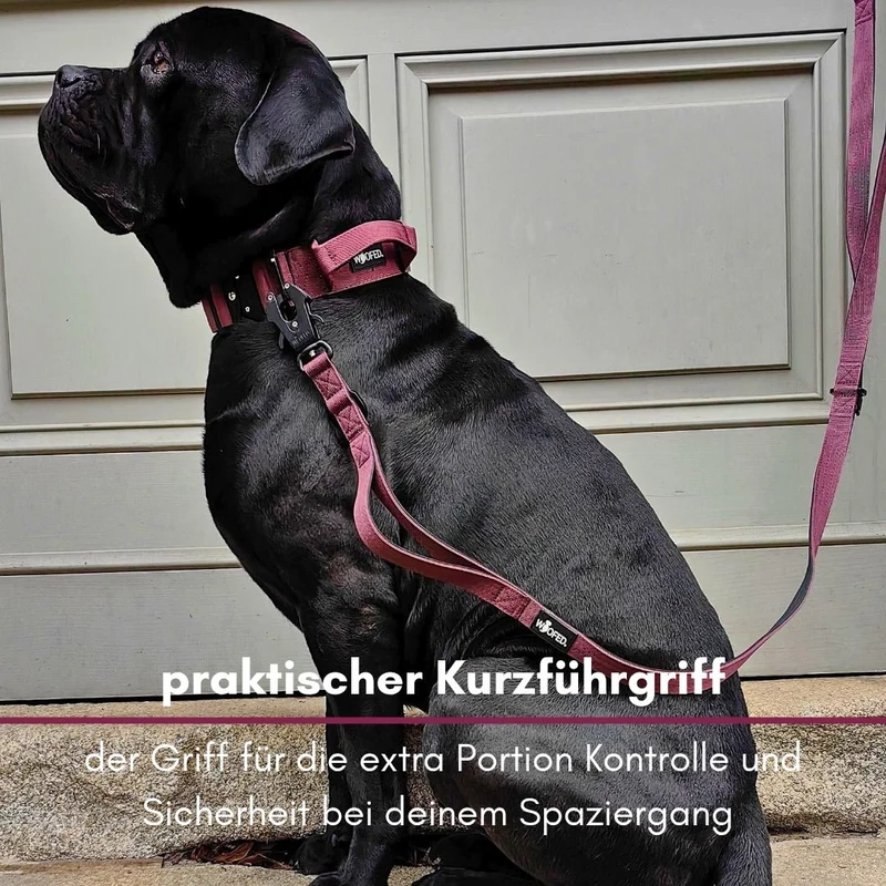 Nylon Tactical Führleine Bordeaux