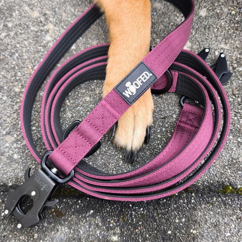 Nylon Tactical Führleine Bordeaux
