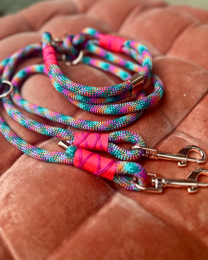 Hundeleine & Halsband Set aus Tau – bunt