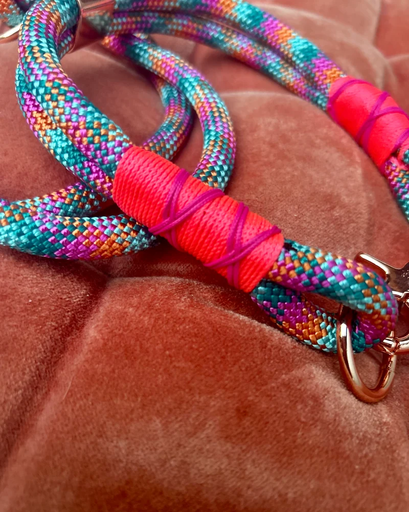 Hundeleine & Halsband Set aus Tau – bunt