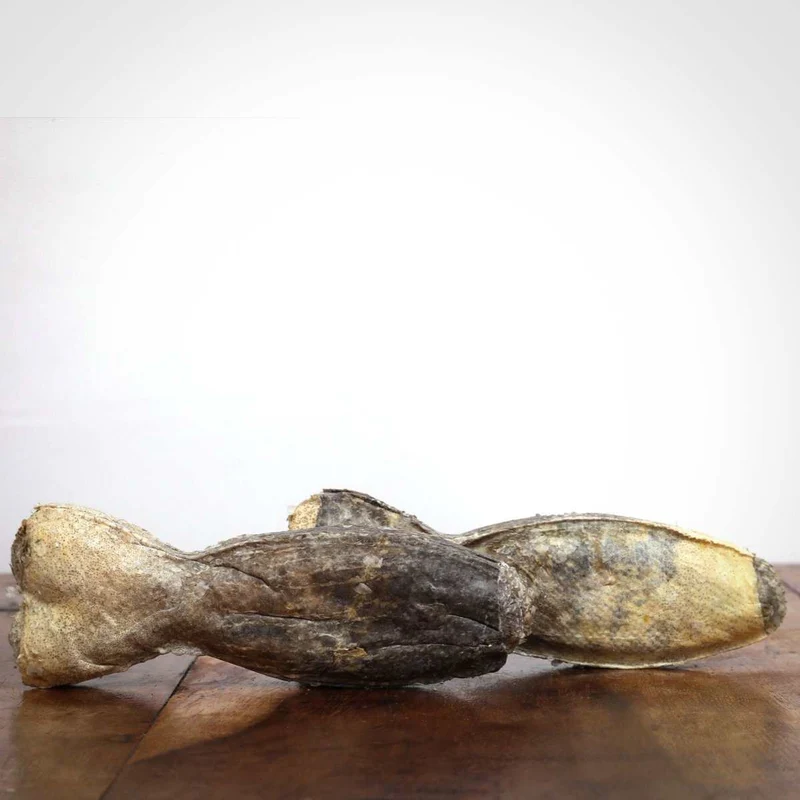Kauknochen Dorsch 12 cm Hundeknochen