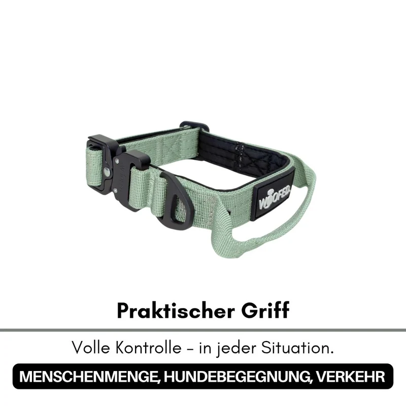taktisches Nylon Halsband für kleine Hunde Sage Green