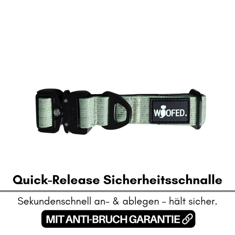 taktisches Nylon Halsband für kleine Hunde Sage Green