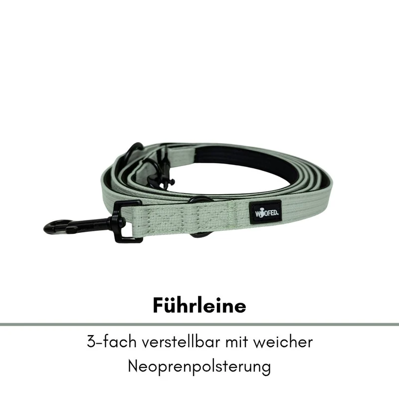 Nylon Classic Führleine Sage Green