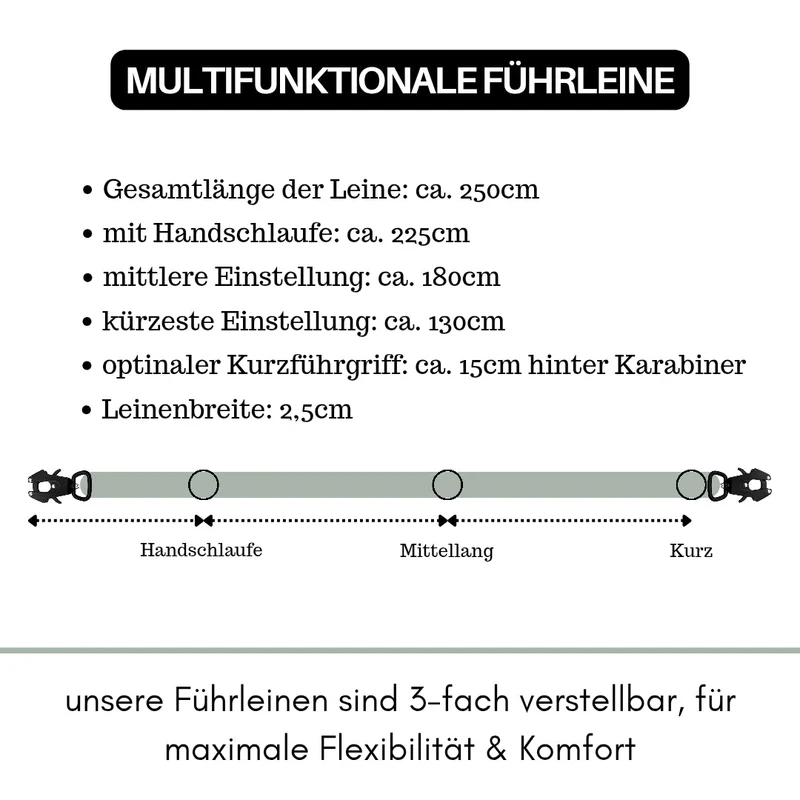 Nylon Tactical Führleine Sage Green
