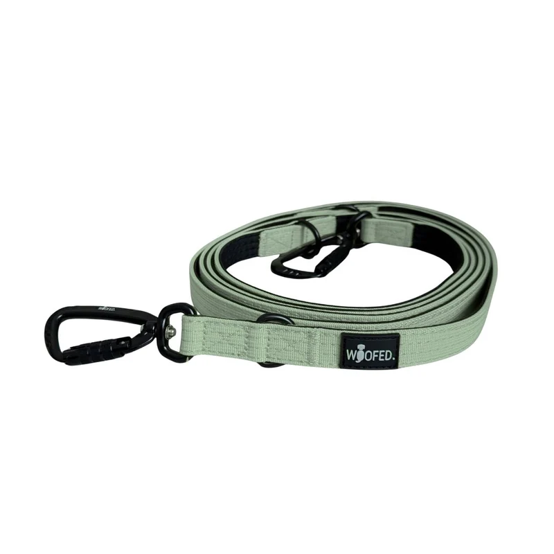Nylon Pro Führleine Sage Green