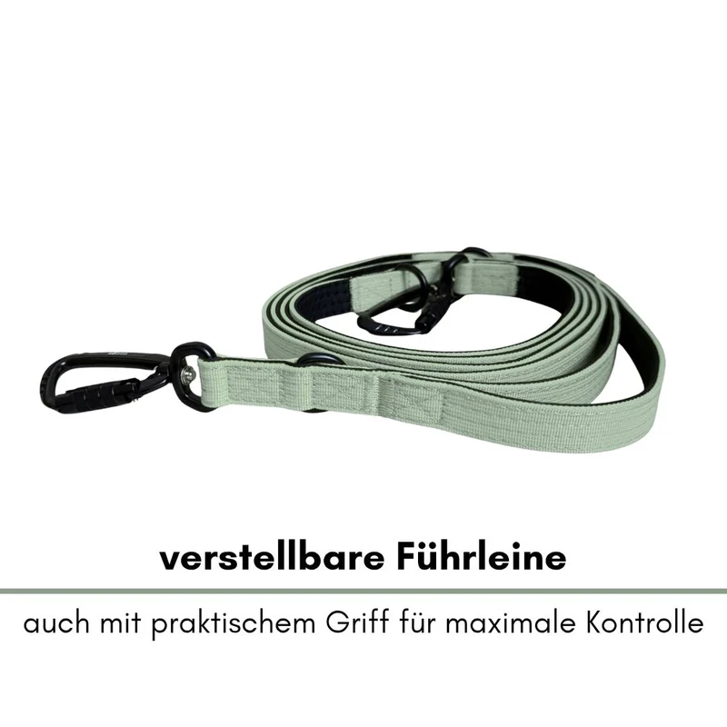 Nylon Pro Führleine Sage Green