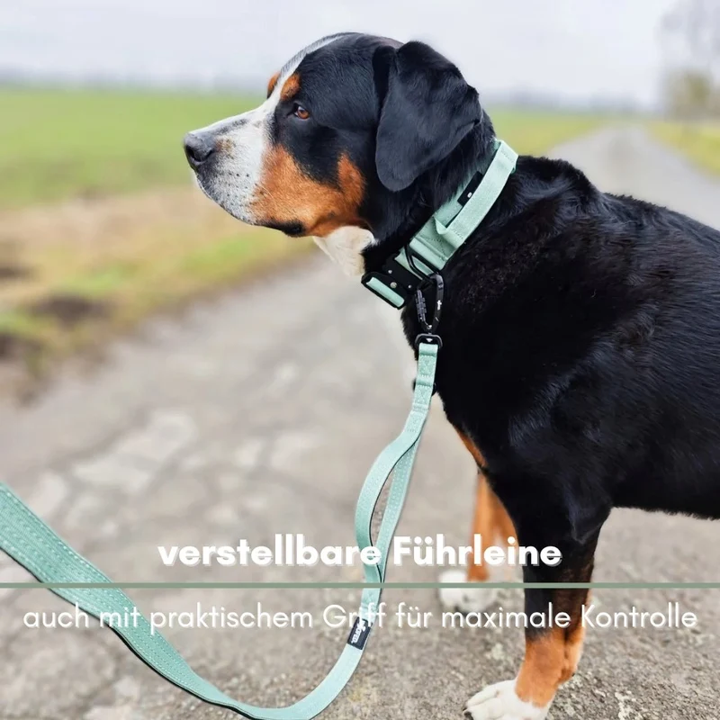 Nylon Pro Führleine Sage Green