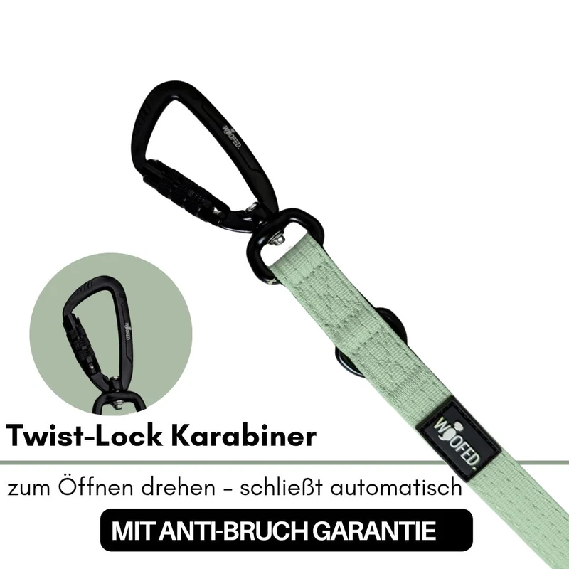 Nylon Pro Führleine Sage Green