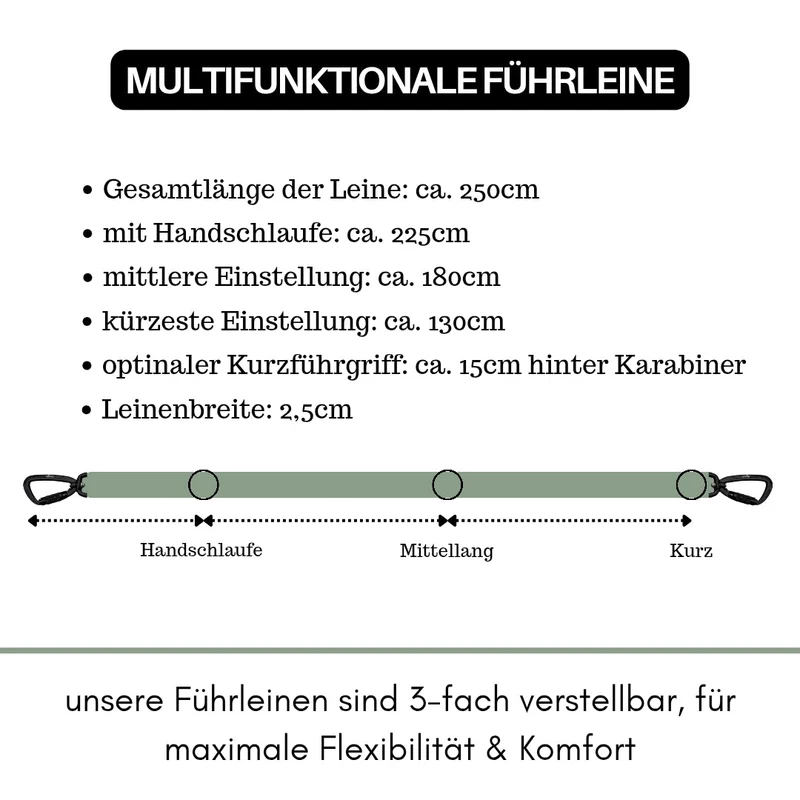 Nylon Pro Führleine Sage Green