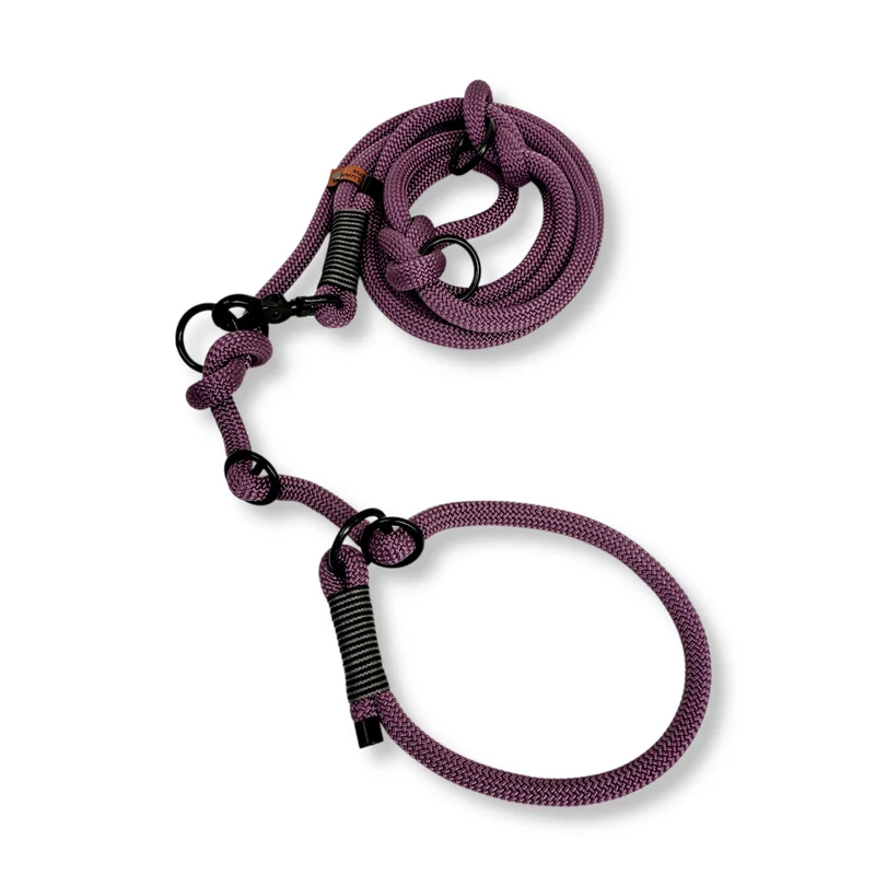 Retrieverleine Tauseil | Mauve