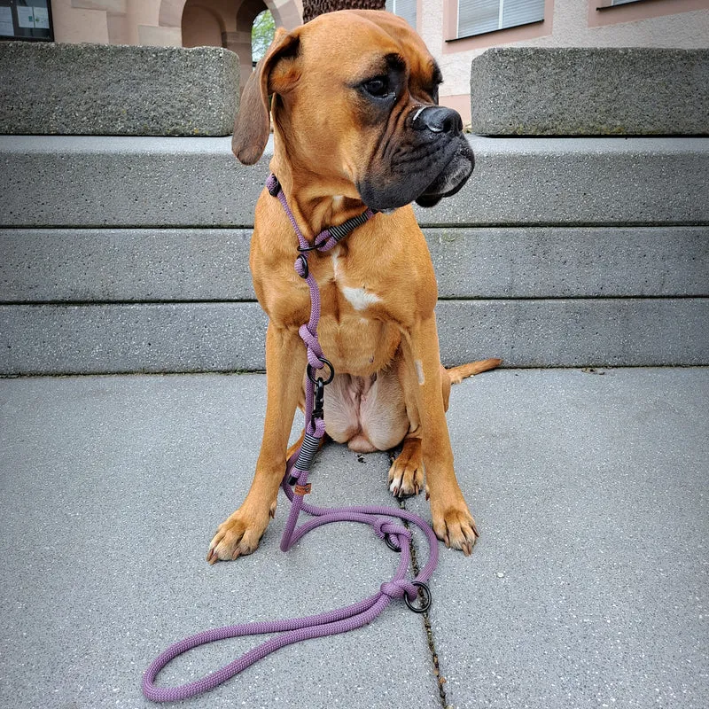 Retrieverleine Tauseil | Mauve
