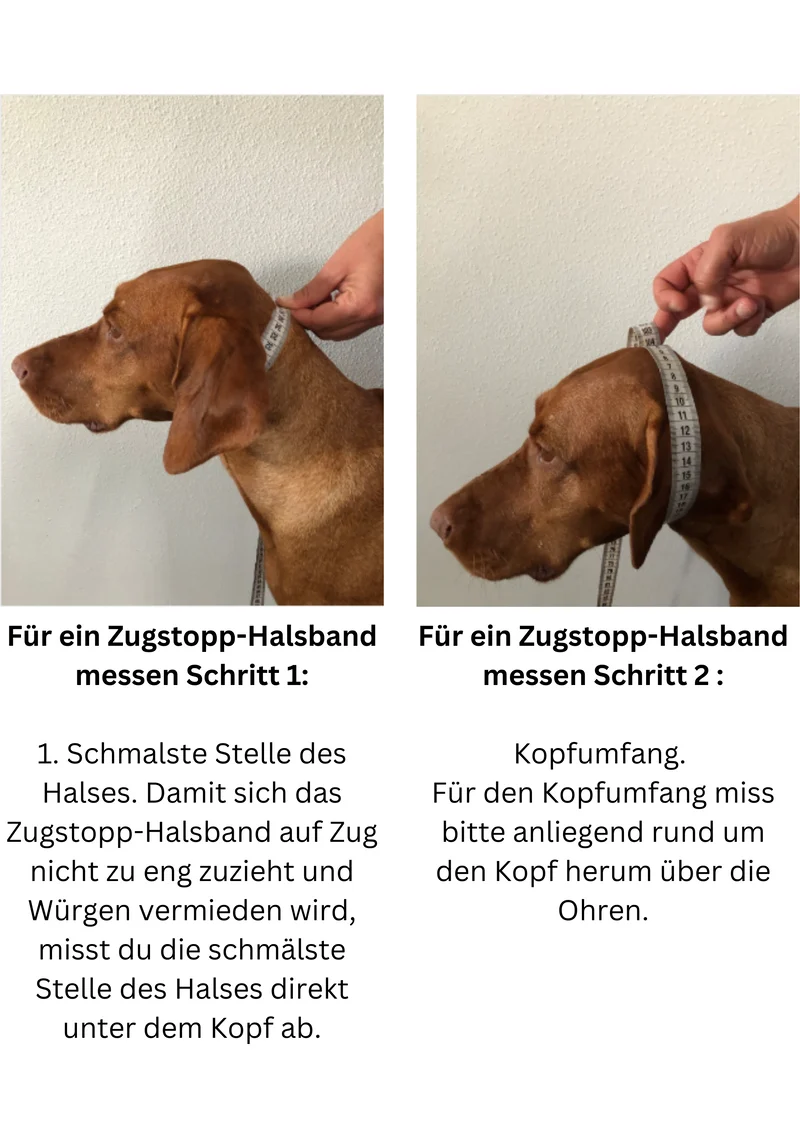 Partnerlook Set Stirnband und Hundeloop Leo