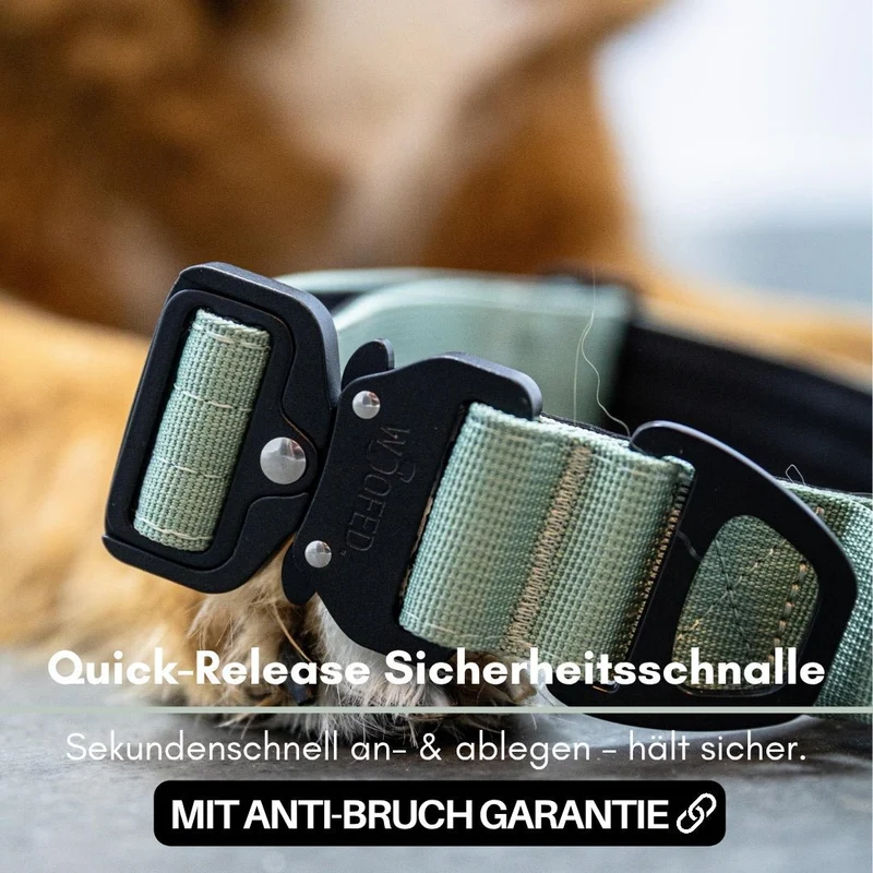 Nylon Tactical Halsband Sage Green - ultraleicht