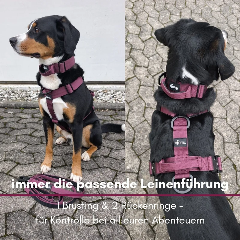 Y-Hundegeschirr 4fach-verstellbar mit Griff und Sicherheitsschnallen Bordeaux - ultraleicht