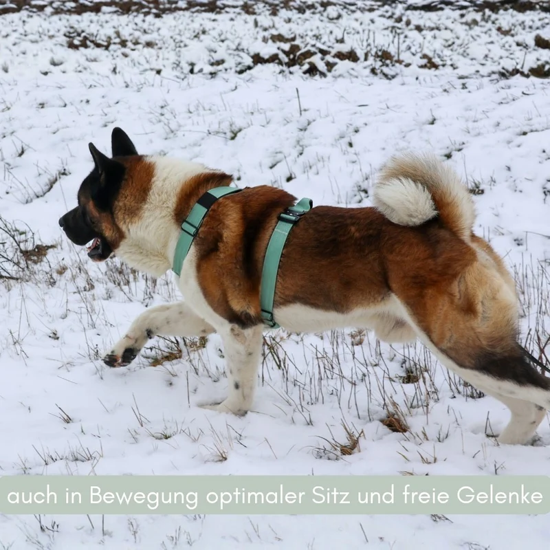 Y-Hundegeschirr 4fach-verstellbar mit Griff und Sicherheitsschnallen Sage Green - ultraleicht