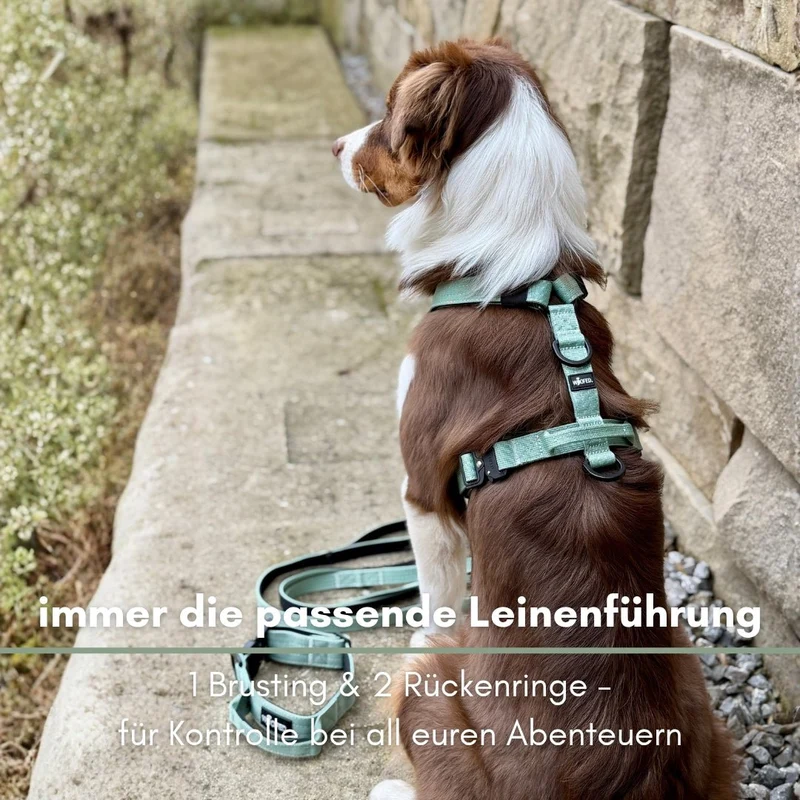 Y-Hundegeschirr 4fach-verstellbar mit Griff und Sicherheitsschnallen Sage Green - ultraleicht