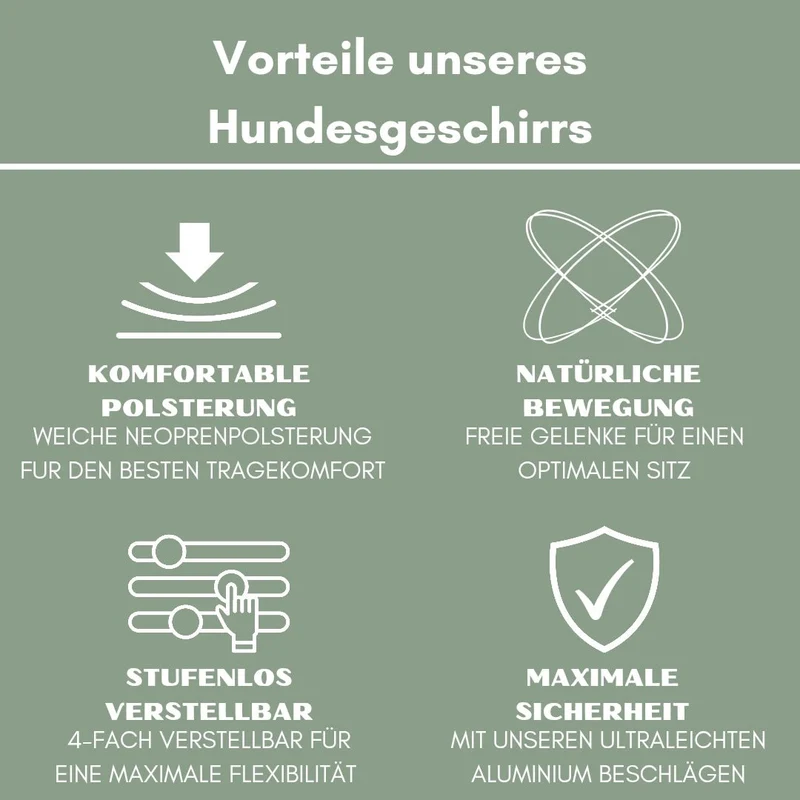 Y-Hundegeschirr 4fach-verstellbar mit Griff und Sicherheitsschnallen Sage Green - ultraleicht