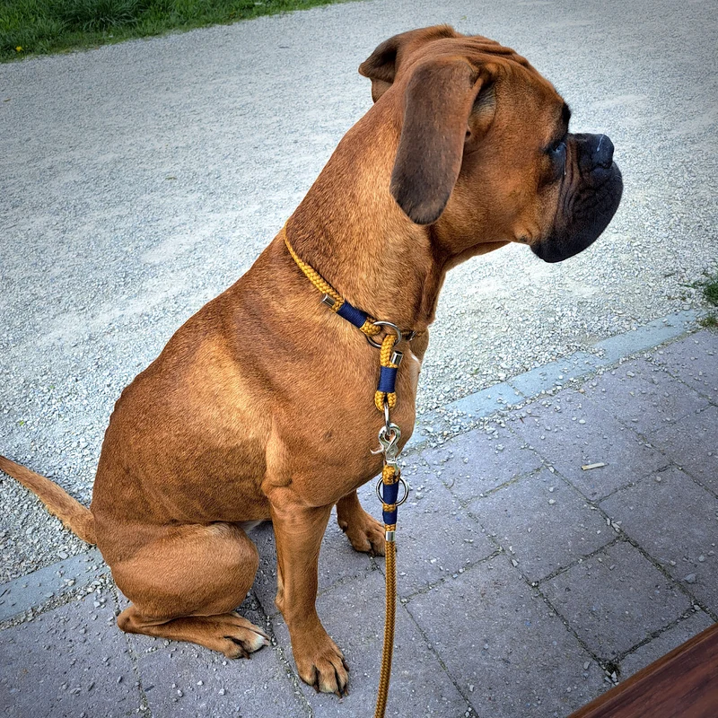 Tauleine *Karamell Blau*