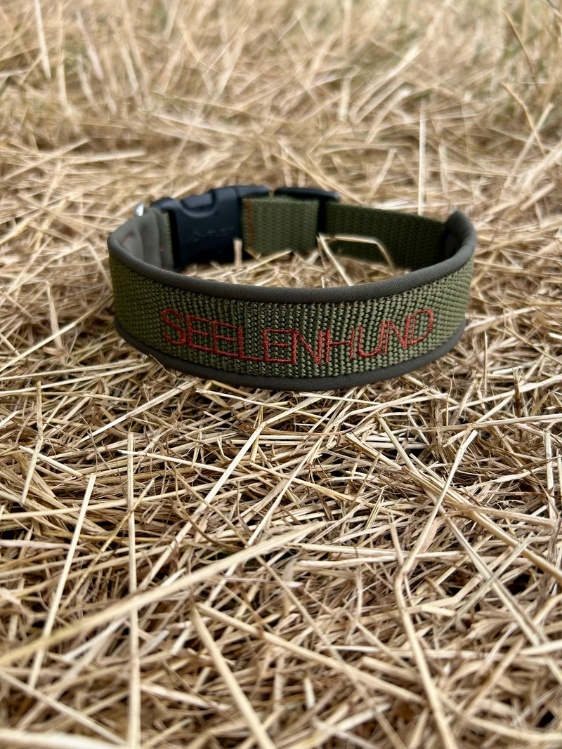 Hundehalsband personalisiert mit Namen gepolstert