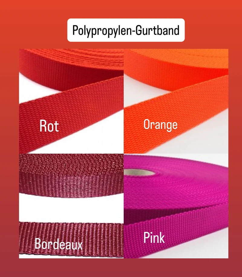 Hundehalsband personalisiert mit Namen gepolstert