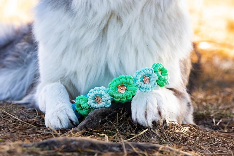Hundehalsband aus Paracord