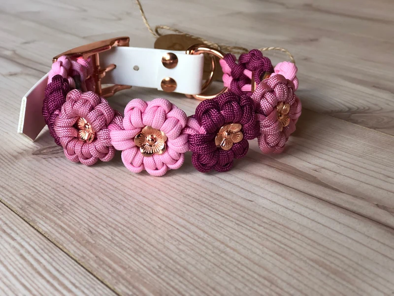 Hundehalsband aus Paracord