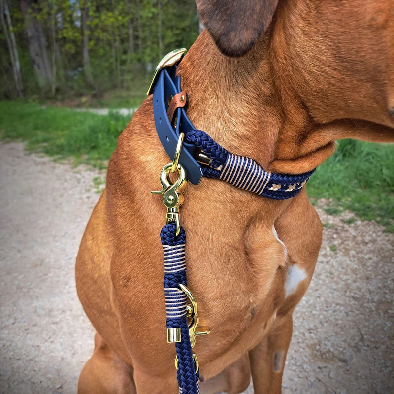 Tau-Halsband | Majestic Blau-Weiss