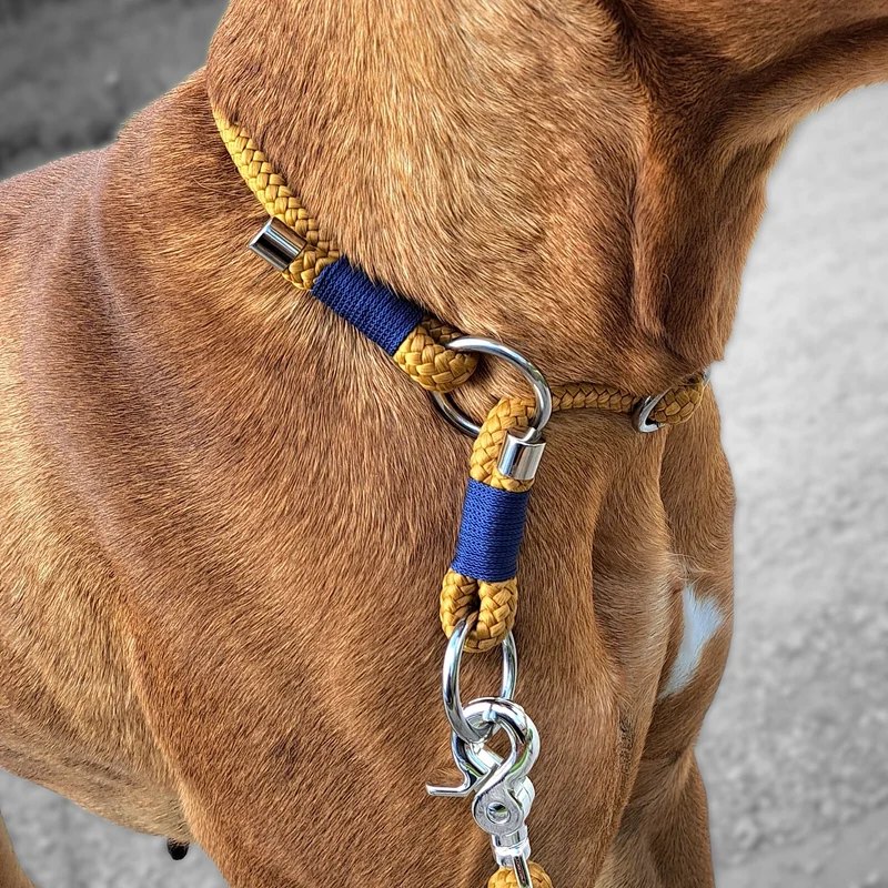 Tau-Halsband *Karamell Blau*