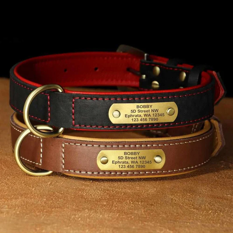 Exklusives Leder Hundehalsband mit Namen und Telefon graviert