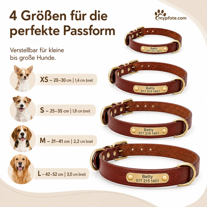 Leder Hundehalsband mit goldfarbener Marke, Gravur Name und Telefon