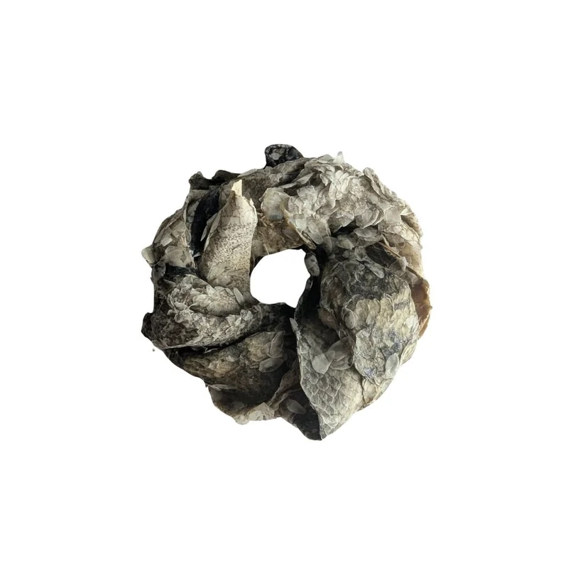 Dorschhaut Ring