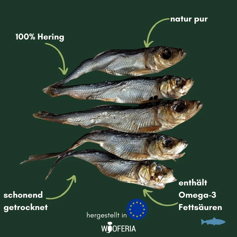 Hering
