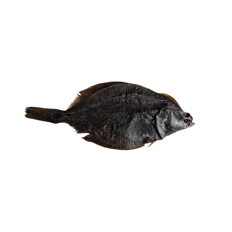 Flunder