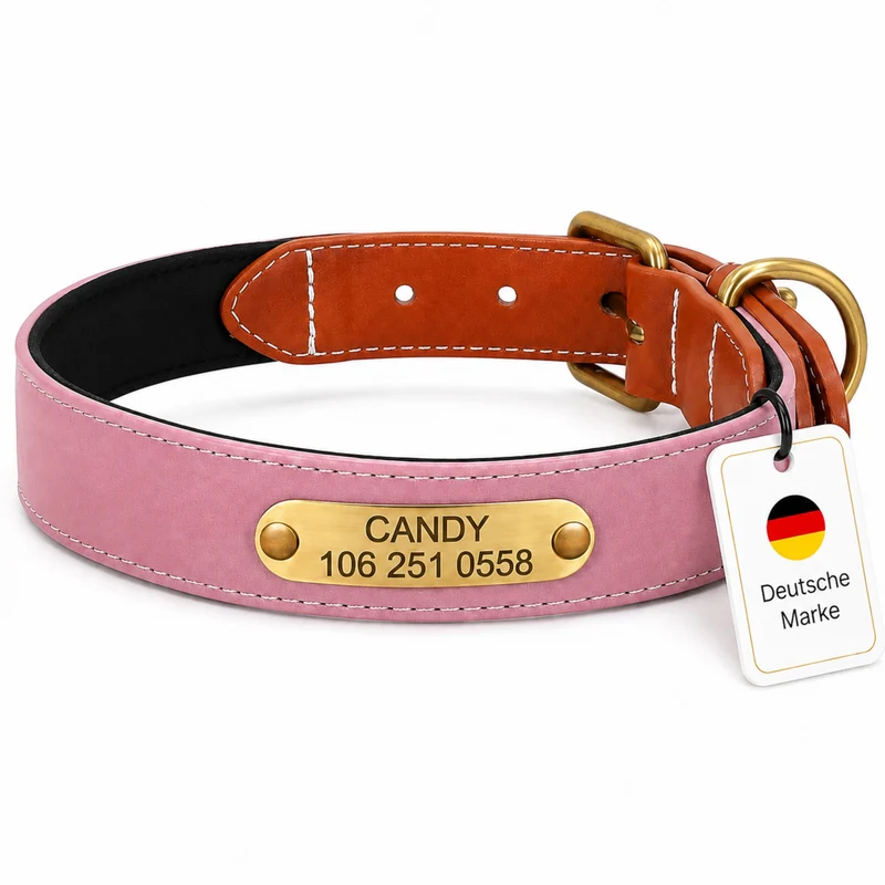 Wunderschönes Reflektions Hundehalsband mit Namen graviert