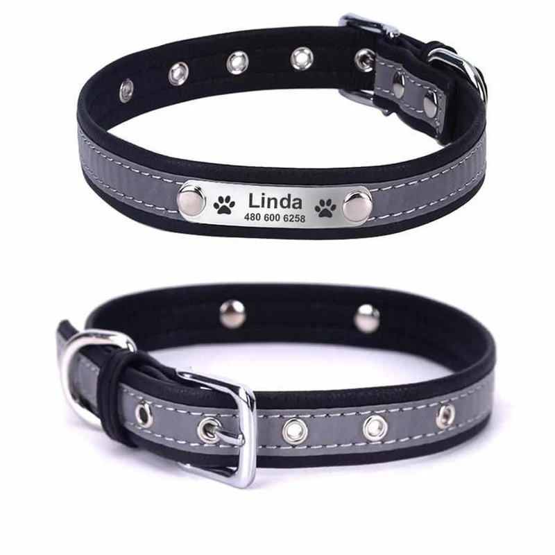 Hundehalsband mit Namen und Telefon graviert. Reflektierend
