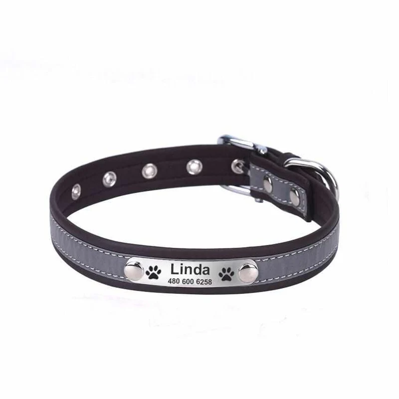 Hundehalsband mit Namen und Telefon graviert. Reflektierend