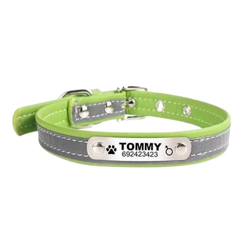 Hundehalsband mit Namen und Telefon graviert. Reflektierend