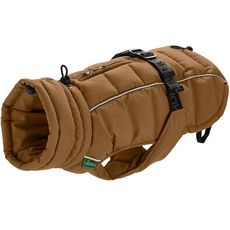 Hundemantel Paxson Dackel