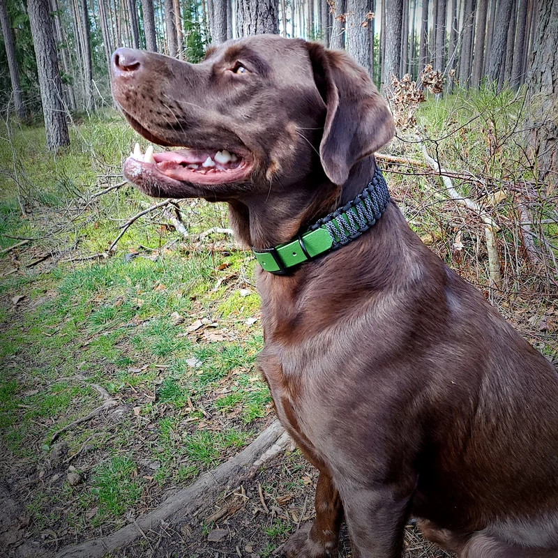 Halsband mit Paracord | Olive leuchtend