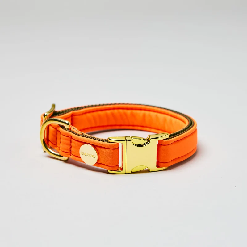 Halsband Softie NEONORANGE-OLIV