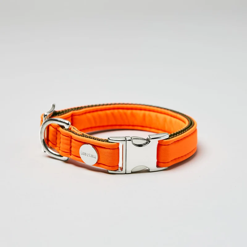 Halsband Softie NEONORANGE-OLIV