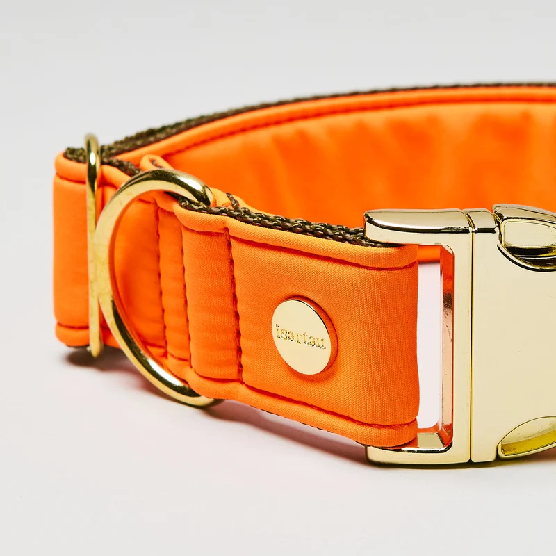 Halsband Softie NEONORANGE-OLIV