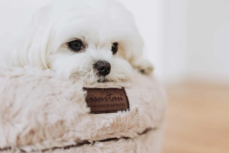 Hundebett rund, Bagelbettchen, Fell BEIGE