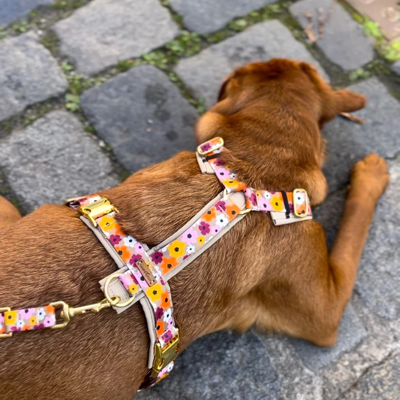 Hundegeschirr BLUMENMEER