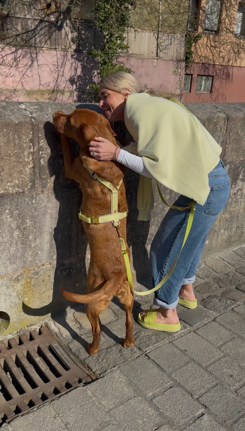 Hundegeschirr SUNNY