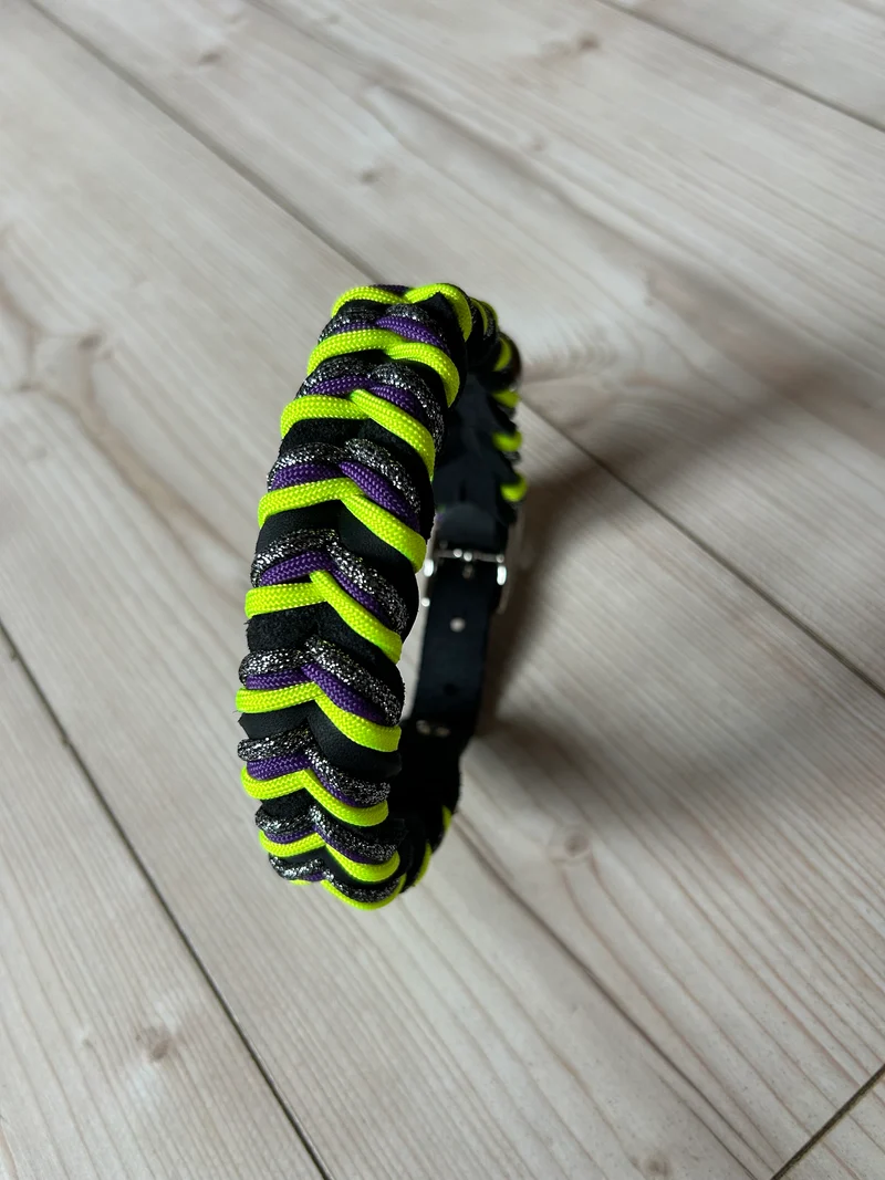 Fettleder Hundehalsband und Leine – individuell